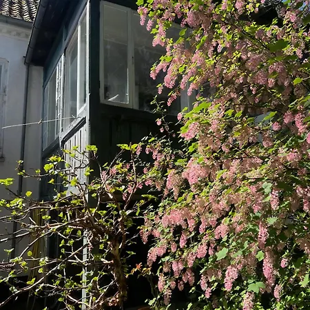 Charming Merchants House In Nysted